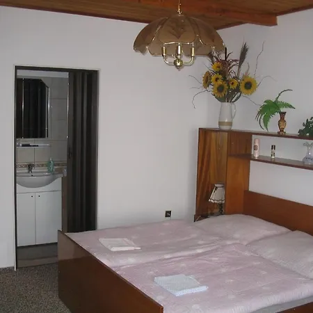 Privat Dvorak *